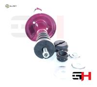 2x SUSPENSION STRUT GH-351960C01 FOR PEUGEOT BOXER/Platform/Chassis/Van/Bus 2.2L