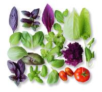 2X Vahaa Seedpod Kit - Vahaa Experimental