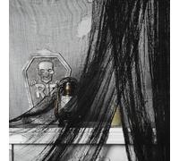 2x5M Halloween Creepy Cloth, Black Large Size Halloween Scary Spooky Cloth, Windows Doorways Cover Gauze for Halloween Party Haunted House Decorations