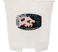 2XClear Orchid Pot 17cm