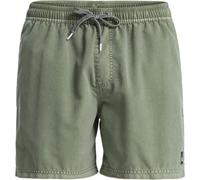 (2XL, Grape Leaf) Quiksilver Mens Everyday Surfwash Volley Swim Shorts