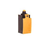2Z Limit Switch Slow Switching Plastic LS 266120