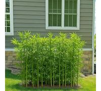 3.2ft 4.9ft 5.9ft Extra Artificial Bamboo Plants Trees, 10/20/30/100 Pack Fake Bamboo Silk Faux Tree, for Garden Decor(30pcs,1.8m(70.8in/5.9ft))