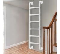3.3FT 10FT Adjustable Wall Mounted Metal Step Ladder for Home Loft Basement Attic Window Well Bunk Bed Multi Purpose Straight Climb Ladder White (250cm/98in)