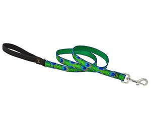 3/4" Tail Feathers 6' Leash