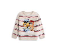 Bluey Kids Unisex Cream Heeler Family Christmas Jumper, Bingo, Bandit and Chilli | Classic Long Sleeve Crew Neck | Kids Christmas Wear for Festive Fun Merch - 3-4 Years