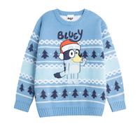 (3-4 Years, Light Blue) Bluey Boys Character Christmas Jumper