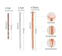 3.5-Inch Copper Nails for Tree Stump Removal, 22-Piece Set with Drill Bit, Effective Copper Tree Killing Nails for Root Elimination