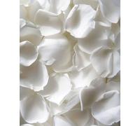 3.5oz REAL Rose Petals, Pearl White Freeze-Dried Petals Biodegradabel Wedding Natural Confetti, Perfectly Preserved Flower Petals for Table Decorations 100g