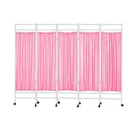 3-6 Panels Clinic Privacy Screen,Iron Frame Office Divider with Wheels,Temporary Partition Wall Panels,for Beauty Salon and Hospital(Color 3,5-panel)