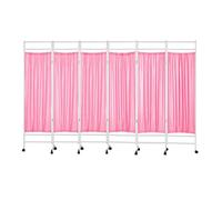 3-6 Panels Clinic Privacy Screen,Iron Frame Office Divider with Wheels,Temporary Partition Wall Panels,for Beauty Salon and Hospital(Color 3,6-panel)