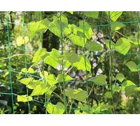 3.6x1.8m Garden Trellis Netting Pea Netting Mesh Runner Bean Netting Climbing Plant Support Net Heavy-Duty Climbing Vine Plant Grow Tent Mesh for Cucumber Tomatoes Grape Climber Vine Vegetables Frui