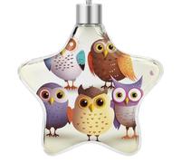 3.7 Inch Star Christmas Ornament Reusable Plastic Hanging Decor with Rope, Hanging Decorative Ball, Owls Birds Ornaments for Xmas Tree, New Year Party Decor