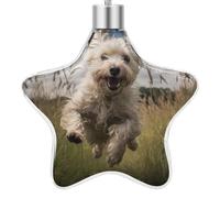 3.7 Inch Star Christmas Ornament Reusable Plastic Hanging Decor with Rope, Hanging Decorative Ball, White Dog in The Field Ornaments for Xmas Tree, New Year Party Decor