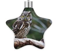 3.7 Inch Star Christmas Ornament Reusable Plastic Hanging Decor with Rope, Hanging Decorative Ball, Wild Owl Birds Ornaments for Xmas Tree, New Year Party Decor