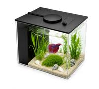 3.7L Aquarium Starter Kits Mini Fish Tank with Filter Pump and LED Light | Self Cleaning Glass Aquarium Tank Kit for Betta Shrimp Goldfish Desktop Office Room Decor 20x15x15cm