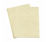 3 Ace Crafts 10 sheets of A3 Card Ivory Hammered 300gsm, A3 Thick Paper for School Arts and Craft, Printing Sheet, Card Making, Wedding Invitations, Christmas, Birthday Cards, Drawing & Crafting