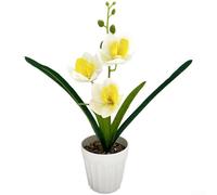 3 Artificial Cymbidium Orchid Plants in Decorative Pots for Home Office Interior Design and Event Table Centerpiece Use (White)