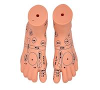 3. Baby Massage Skill Development Model with Marked Acupoints Life-Size Realistic Infant Anatomy for Pediatric Nursing Baby Anatomy Model