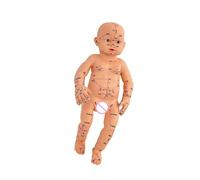3. Baby Massage Skill Development Model with Marked Acupoints Life-Size Realistic Infant Anatomy for Pediatric Nursing Baby Anatomy Model