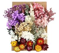 3 Boxes Natural Dried Flowers Set, Mixed Pressed Dried Flowers and Leaves, Multiple Real Decorative Flowers for DIY Art Craft Jewelry Candle Soap Phone Case Scrapbooking Nail Stickers Floral Decors