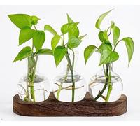 3-Bulb Glass Plant Propagation Station with Wooden Stand, Plant Cutting Vase, Hydroponic Rooting Display for Indoor Plants