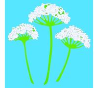 3 Cow Parsley Metal Cutting Dies Set, Stencils, Card Making, Scrapbooking, Paper Crafts, G9