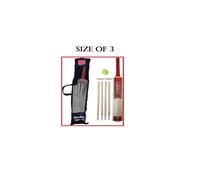 (3) Cricket Set in Mesh Carry Bag