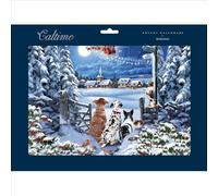 3 D Dogs Watching Santa Waiting for Santa 358 x 245 mm Caltime Traditional Advent Calendar, Multi