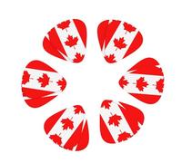 3 Different Thickness Canadian flag Print Guitar Picks for Acoustic Guitar,Electric Guitar,12-pack