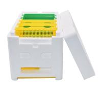 3 Frame Bee Boxes with Water Feeder, Mini Foam Nuc Box for Bees with Grid Door, Ideal Bee Hive Supplies for Mating and Rearing Honeybees, Style 2