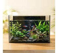 3 Gallon Glass Fish Tank Cube, Small Aquarium Fish Bowl for Betta Goldfish Snails Shrimp Aquatic Planting, Easy to Maintain Ultra Clear Rimless Design for Desktop Small Spaces