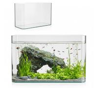 3 Gallon Ultra Clear Glass Fish Tank, Rimless Curved Edge Small Aquarium - Thermal Bending Technology, Low Iron Glass Desktop Tank for Betta, Goldfish, Shrimp & Aquatic Plants