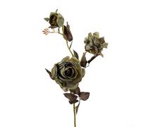 3-Head Artificial Dry Burnt Rose Flower Set for Interior Styling in Modern Minimalist and Rustic Themed Environments (green)