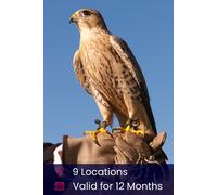 3 Hour Falconry Gift Experience Activity Superstore Multi One Size