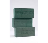 3 Ideal Bricks Oasis Floral Foam for Fresh Flower Displays and Arrangements by Oasis Floral Products
