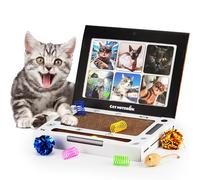 3-in-1 Cat Scratcher Laptop: Indoor Scratch Pad with Built-In Interactive Bell Ball & Kitten Toy