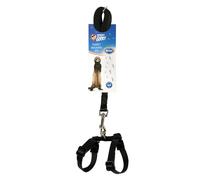 3 in 1 playground bird toy Duvoplus