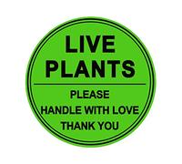 3 Inch Live Plants /Handle with Love Stickers - Green Fragile Handling Shipping Warehouse Pallet Stickers 250 Adhesive Labels (Green)