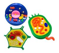 3 Interactive Animal Plant Cell Anatomy Model Biology Teaching Tool for Classroom & Laboratory Use Detachable Cell Model