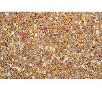 3 kg Johnston & Jeff No Mess No Grow Wild Bird Seed Mix - Premium Clean, Waste-Free, Non-Germinating Feed for Garden Birds
