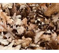 3 Litre Leaf Litter Substrate, Mixed Dried Leaves, Bioactive Terrarium Bedding for Reptiles, Amphibians, Springtails, Isopods, Snails. Millipedes 100% Organic