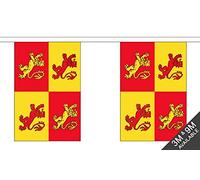 3 Metres 10 (9" x 6") Flag Owain Glyndwr Wales Welsh 100% Polyester Material Bunting Ideal Party Decoration For Street House Pubs Clubs Schools