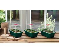 Mini High Dome Propagator Set Of 3 Home Planting Gardening