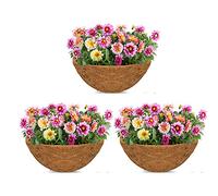 3 Pack 12 Inch Hanging Basket Coco Liners Replacement, Natural Round Coconut Coco Fiber Planter Basket Liners for Hanging Basket Flowers/Vegetables