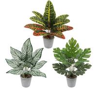 3 Pack 14in Tall Artificial Faux Plants in Pots Fake Plant Decorative for Greenery Home Bedroom Garden Indoor Outdoor Farmhouse Shelf Decor (Variegated wood, Turtleback Leaf, White Taro Leaf)
