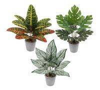 3 Pack Artificial Plants Potted 14" Artificial Plants in Pots Fake Plants Indoor Decorative Faux Potted Plant Variegated wood, Turtleback Leaf, White Taro Leaf for Home Office Bathroom Desk Table Deco