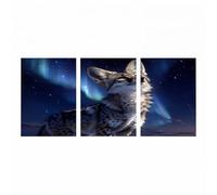 3 Pack Aurora Diamond Art Kits Adults, Animal Diamond Painting, Crystal Art Kits for Adults, Full Drill Paint by Numbers 18 x 12in x 3, Rhinestone Cross Stitch Embroidery Crafts Room Decor ZSHS-2700