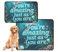 3 Pack Big Dog Pee Mat Rug for Dogs Muddy Feet Washable Anti Slip Mat for Pet Bed 20x24in You are Amaing Animal Dolphin