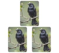 3-Pack Car Air Freshener Cards Double Sided Hanging Black Crow Birds on A Branch Air Freshener Scented Cards for Car, Room, Bathroom | Long-Lasting Fragrance, White-style